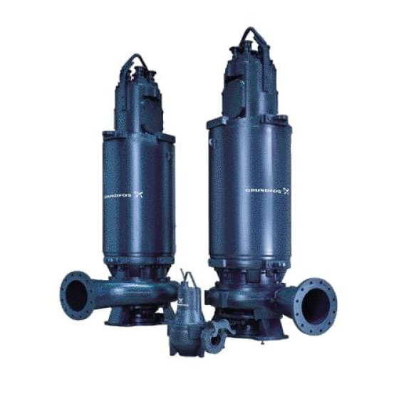 S PUMPS
